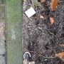 Wat is dat toch dat als ik net veel onderhoudskosten heb gemaakt (50€) m'n fiets gejat wordt? 