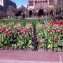 Sitting in Copley Square. BOSTON STRONG! Proud of my city. Grateful to those who helped our city begin to heal. Remembering those we lost.