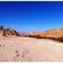 Ain Khudra oasis #desert #sinai #egypte #iphoneography