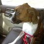 Yea,RT @tonylejarza @LoMoMarlins Stella?