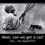 @Quicksilver2723 I like to joust but then its drains the muse out of the sarcasm...