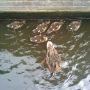 Tussen wal en schip #at5