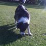 Morning stick action in the park