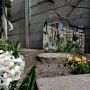 Steeds meer kleur in de tuin.