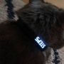 Fuelcat