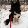 We have snow! 