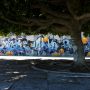Orange tree #seville #landscape #leica