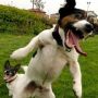 It's Friday!!!