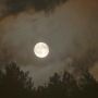 #HDR image of #moon over trees in cloud 00:18UT 27th April 2013