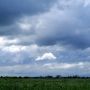 Weide overgaand in een prachtig getekende wolkenpartij.  #buienradar by JoopenLia