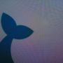 rebranding preview? #logo #mobypicture #next 