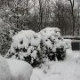 Giant iced buns? #snow