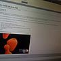 Collaborative postings started on DC and MTV blog