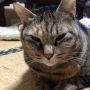 貧乏に、なった。