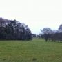 @tomnatt I can’t find the deer stand!