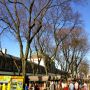 A beautiful day to walk around Faneuil Hall in Boston