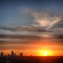 Final lush lights of the day #sunset #rotterdam