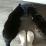 @SabrinaLoont @jochemspoor ben er al uit 