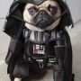 nee, Moby team... het is niet Darth Vaderdag cc @bpelgrom, @dryxe, @phortuin