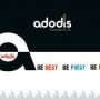 Best website design companies in india