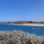 The view towards Brae Hill and Daymer Bay, one of my favourite beaches. May Day 2013. 