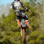 @Cudby pic from The Farm this week