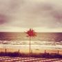 Goedemorgen Zandvoort! #botc2013