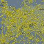 het vliegverkeer boven Europa op dit moment. #vliegtuig #veel