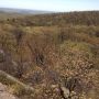 #hike Upstate New York. Nothing has really developed leaves yet. #photo Nice View. 
