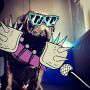 Ready to rumble! #pug #pugs #puglife #puglove #pugstagram #petstagram #pugsofinstagram #blackpug #jj #dog #dogstagram #picoftheday #cute #photooftheday #instamood #instagood #ilovemydog #dogsofinstagr