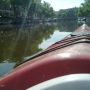More rays #kayak