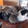 @krista010 @Merle2 @eeefje_ niet iedereen is daar blij mee :)