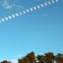 #Moon rising over the trees yesterday evening - multiple exposures #humanintervalometer