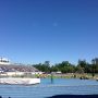 Early day at Florida relay, ready to run some relays.