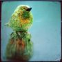 * @AishaHunkar... 20 Aug 1968 ~ 28 Apr 2011... #birdsperch... (thx for the lovely pic, @Holly1979!)