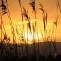 Een koude, licht bewolkte, prachtige zonsopkomst in het rivierengebied  #buienradar by Donker