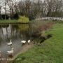 Puur natuur !