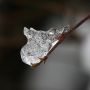 Ice #ice #snow #spring