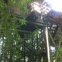 Ons Treehouse voor de komende dagen. In het regenwoud met uitzicht op zee. #Borneo #Permai #rainforest 