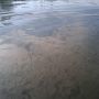 Amstel #kayak