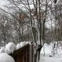 Snow curls #snow