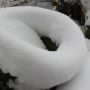 Snownut #snow