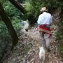 hiking on Mt Tamalpais with @hrheingold