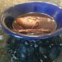 The saddest looking meal I've ever made.