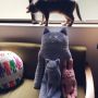 我が家で1番大きいサイズは、こちらのコラットちゃん( ´ω` ) #クラフトホリック #CRAFTHOLIC 