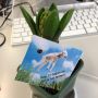 Hoera! Lente over 22 dagen! 