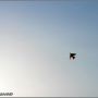 今日の君は、、、#空でつながる #photo_by_Canno