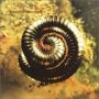 ♬ 'Closer' - Nine Inch Nails ♪