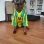 @SagRijswijk Dat doen we zeker! Sjon en ik houden alles in de gaten :-)  #hondenbezitters #verdachte