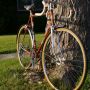 Van mijn @telegraaf - krantenwijk kocht ik in 1971 een Louison Bobet. Mijn 1e racefiets. #fiets 